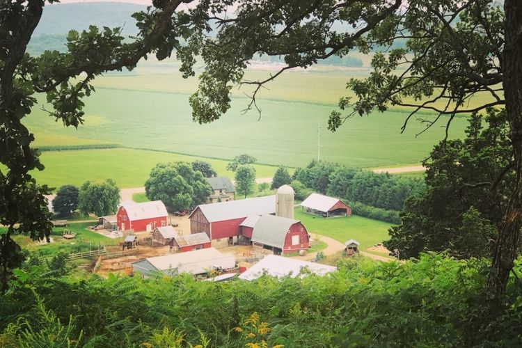 Lodi, WI Homes for Sale and Realtors